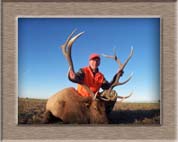 Elk Hunting Colorado
