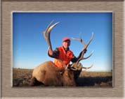 Elk Hunting Colorado