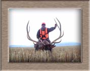 Elk Hunting Colorado