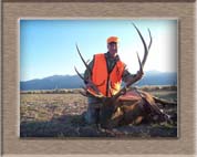 Elk Hunting Colorado