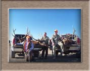 Elk Hunting Colorado