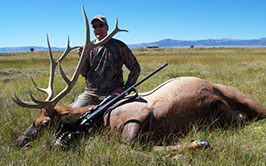 Elk Hunting Colorado