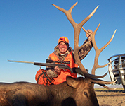 Elk Hunting Colorado