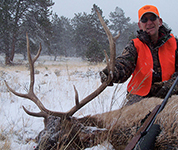 Elk Hunting Colorado