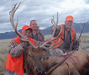 Elk Hunting Colorado